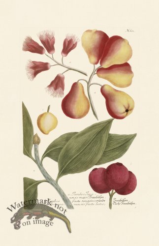 (image for) Weinmann PL 601