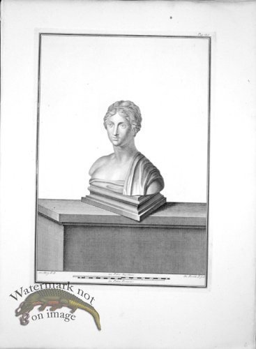 (image for) Ercolano Bust 06