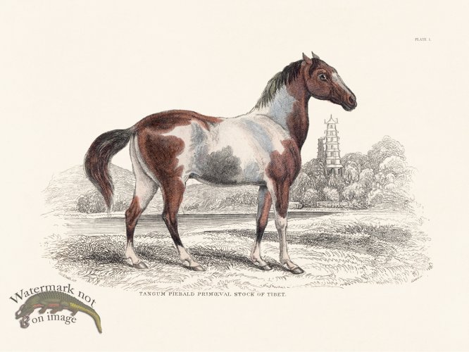 (image for) Jar Horse 01