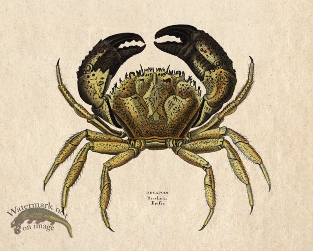 (image for) Sand_Soldier_15