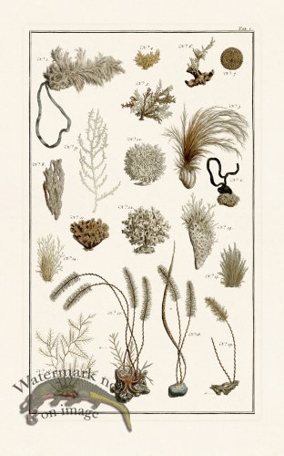 (image for) Seba B2 100