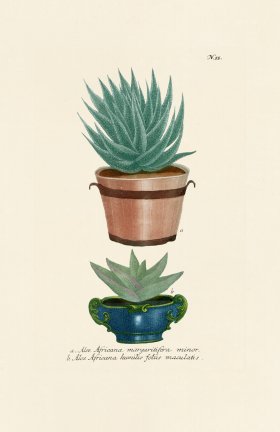 (image for) Weinmann PL 055