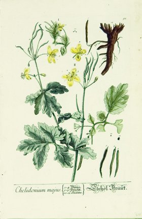 Blackwell German 160