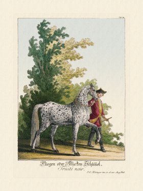 Ridingers Horses 46