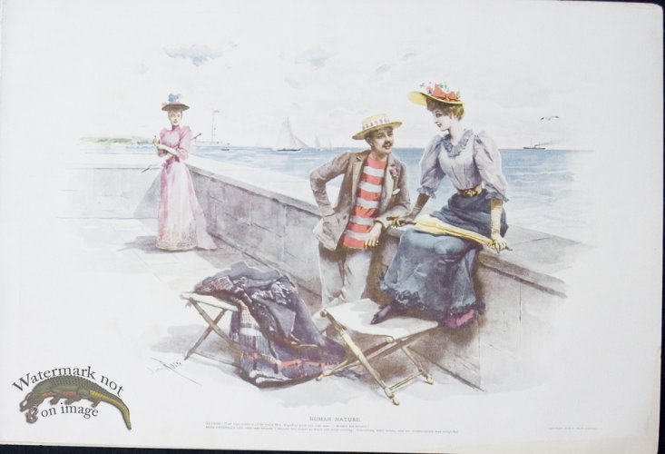 (image for) Human Nature