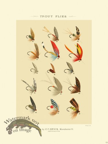 (image for) Favorite Flies 13 Trout