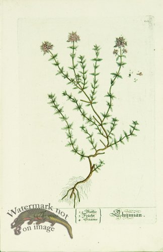 (image for) Blackwell German 138