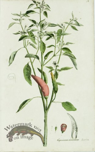 (image for) 1828_Gmp 039