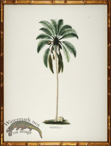 (image for) Palm trees in Gold Bamboo 01