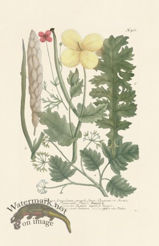 (image for) Weinmann PL 786