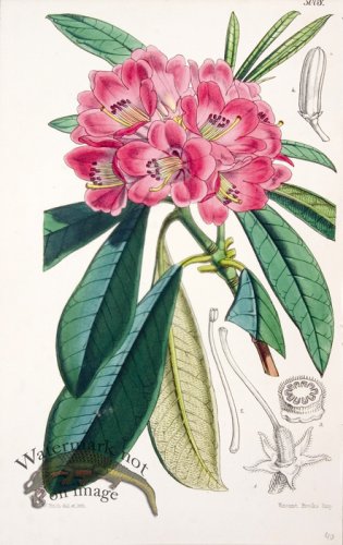 (image for) CBMS_0065