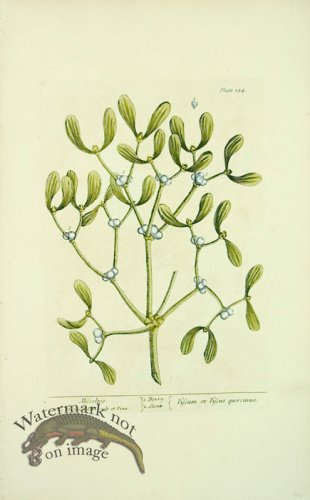 (image for) Blackwell E 29