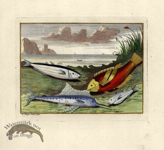 (image for) Valentijn 18