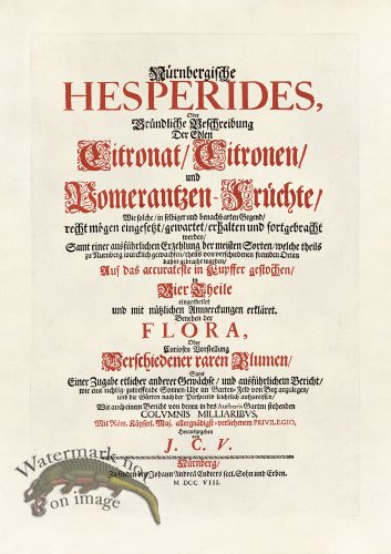 (image for) Volckamer Title Page