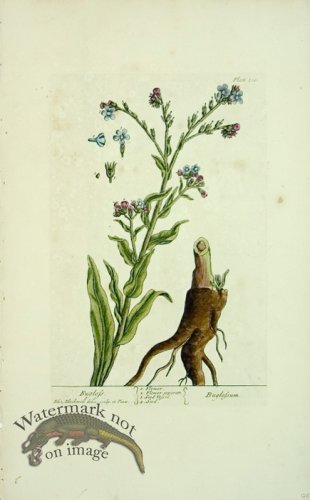 (image for) Blackwell E 35