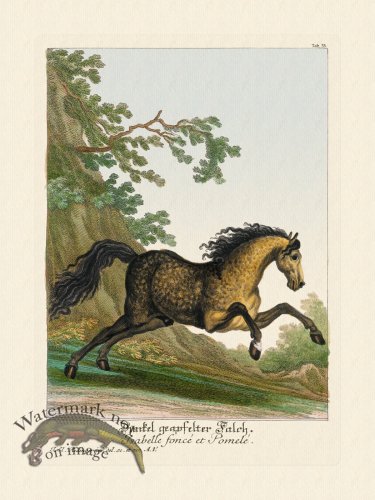 (image for) Ridingers Horses 35