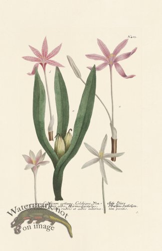 (image for) Weinmann PL 403