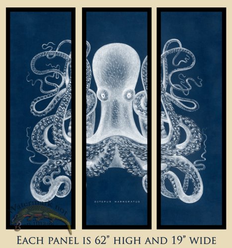(image for) Octopus Panel