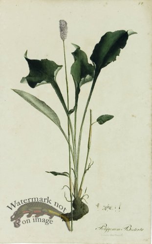 (image for) 1828_Gmp 090