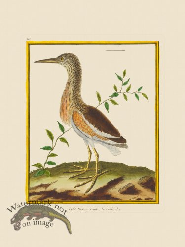 (image for) Martinet Bird 315