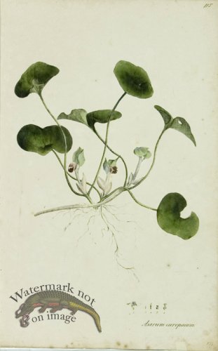 (image for) 1828_Gmp 086