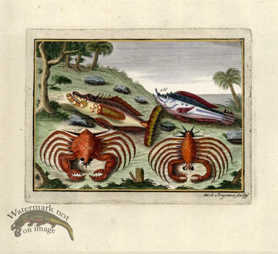 (image for) Valentijn 04