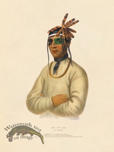 (image for) Caa-tousee Ojibway