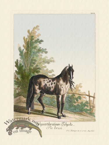 (image for) Ridingers Horses 45