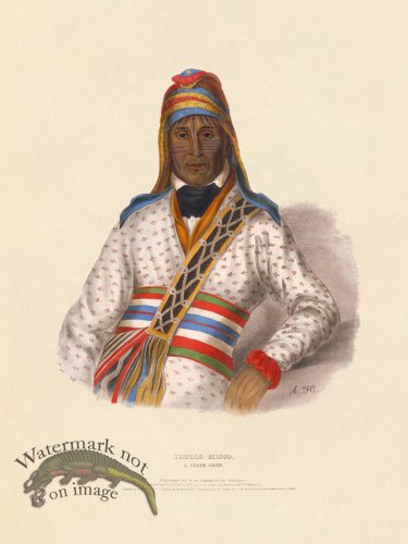 (image for) Yoholo-Micco Creek