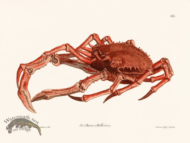 (image for) Knorr Sealife 03