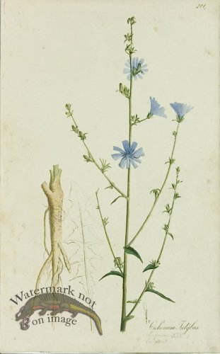 (image for) 1828_Gmp 022