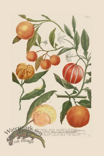 (image for) Weinmann PL 700