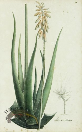 (image for) 1828_Gmp 046