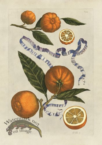 (image for) Ferrari 395