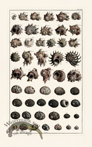 (image for) Seba B2 059