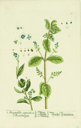 Blackwell German 099