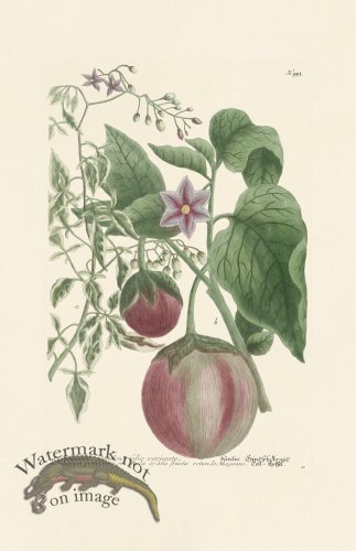 (image for) Weinmann PL 933