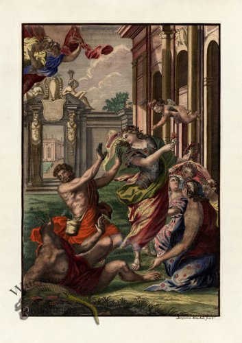 (image for) Volckamer 096