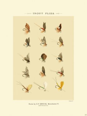Favorite Flies 22 Trout