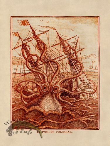 (image for) Octopus Orange 30