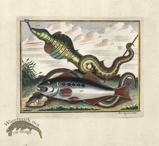 (image for) Valentijn 12