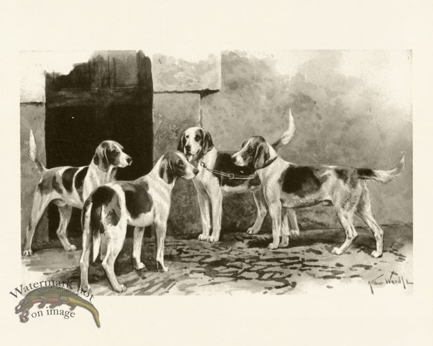 (image for) Modern Dogs 12