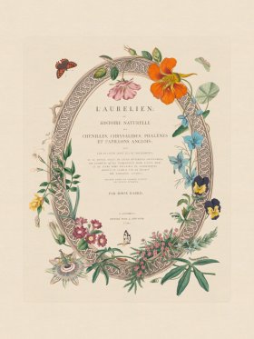 Moses Harris Insects title