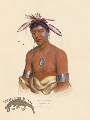 (image for) J-Aw-Beance Chippeway