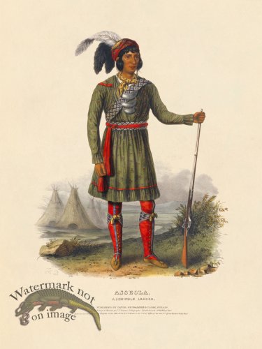(image for) Asseola Seminole