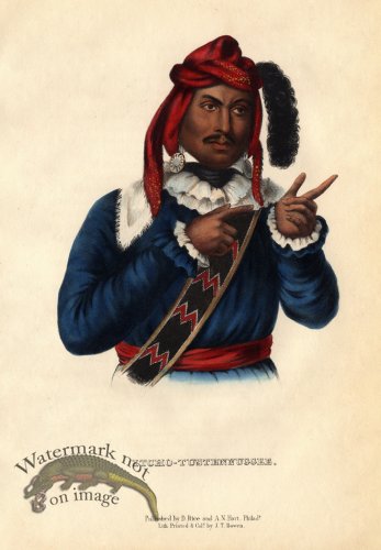 (image for) Itcho-Tustennuggee