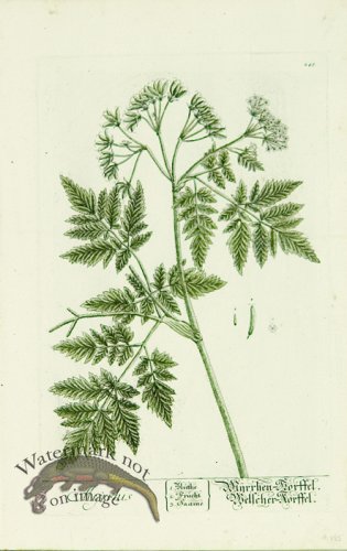 (image for) Blackwell German 083