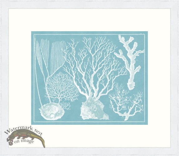 Seba B2 105 Coral WFBP