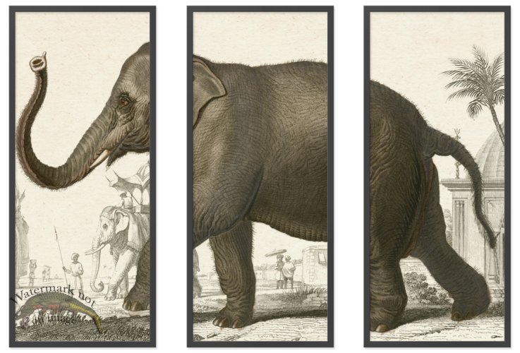 (image for) Elephant Triptych 01 BF copy
