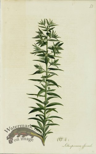 (image for) 1828_Gmp 071